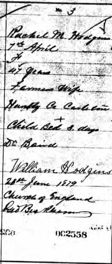 HODGINS, Rachel M. death 1879
