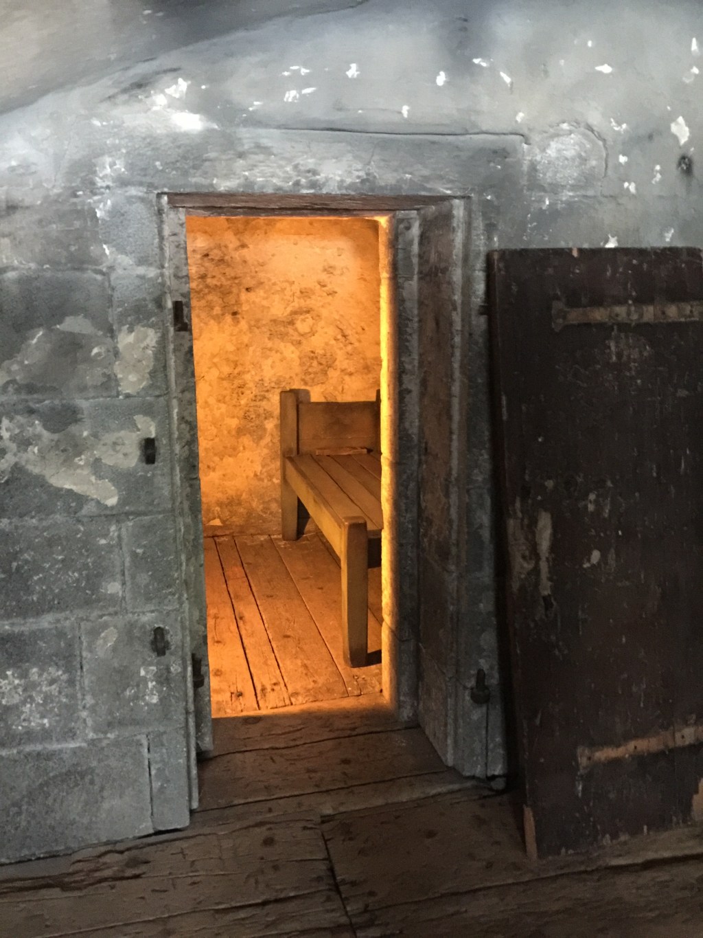 Arrested at Age 8, Anne Reddy’s&nbsp;Story