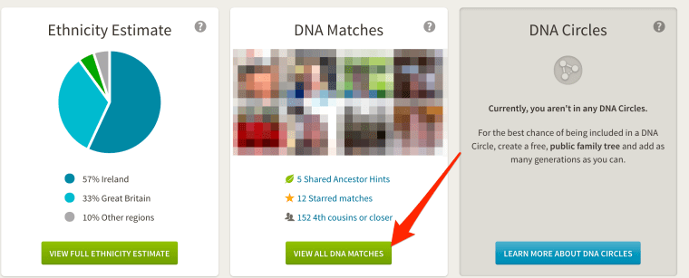 View All DNA matches.png