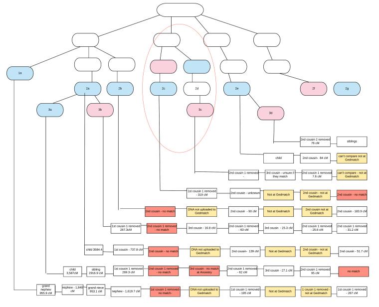 No_Names_Norton_corrected_cM_-_Page_1__1_