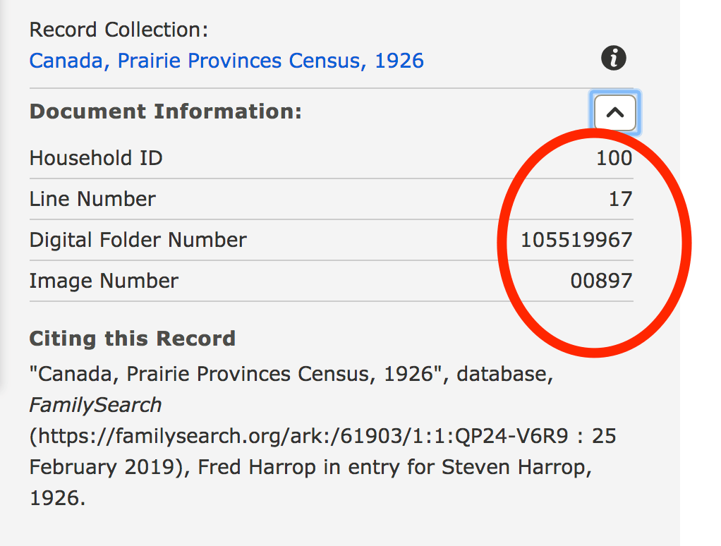 Screen_Shot_2019-02-25_at_6_26_26_PM