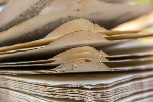 Quebec and Eastern Quebec Poll Books&nbsp;1814-1841